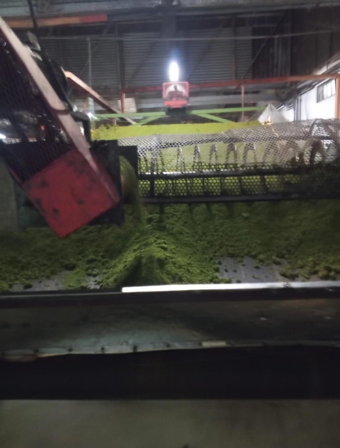Tea factory machinery